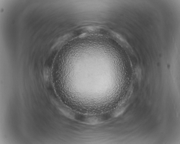 X0000080710423200612151138