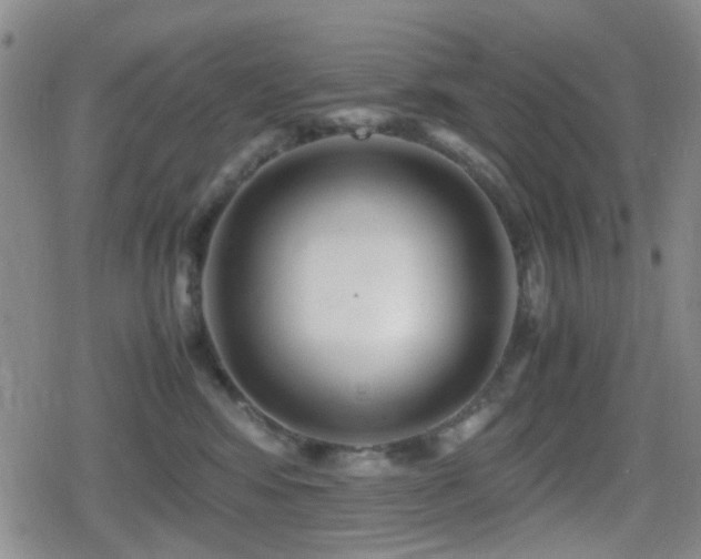 X0000080710424200612151138