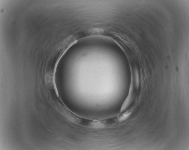 X0000080710425200612151138