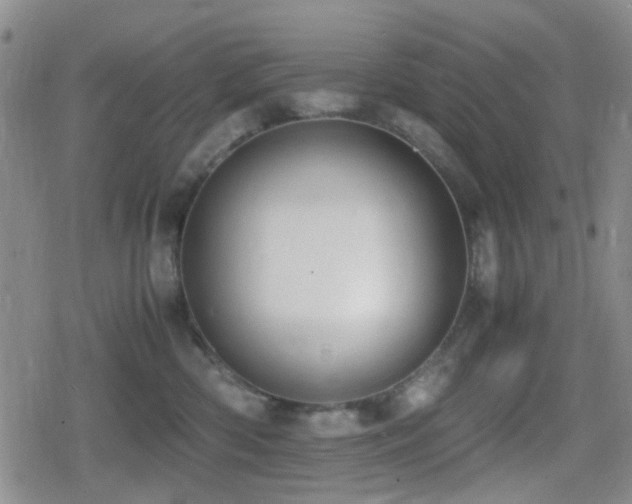 X0000080710426200612151138