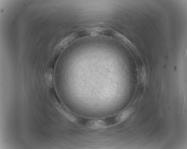 X0000080710427200612151138