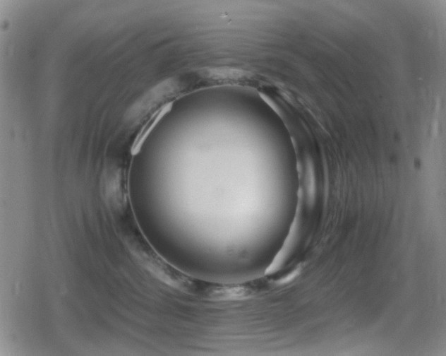 X0000080710428200612151138