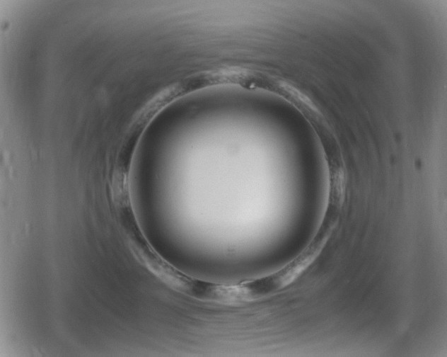 X0000080710429200612151138