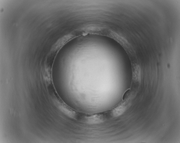 X0000080710430200612151138