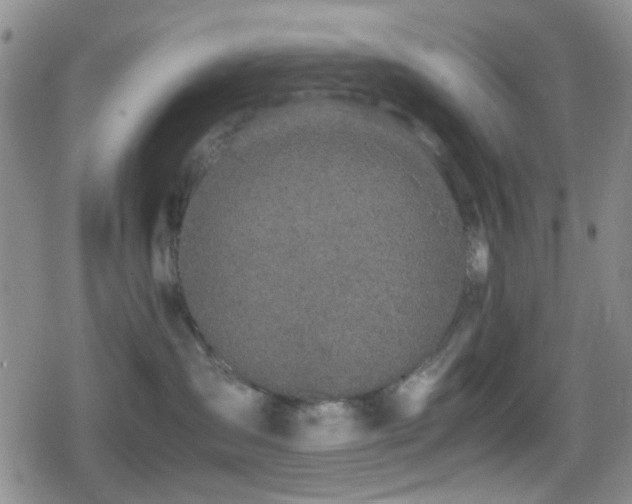 X0000080710431200612151138