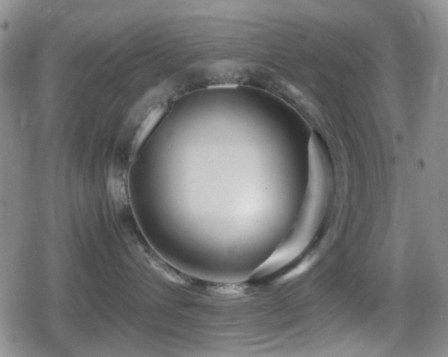 X0000080710432200612151138