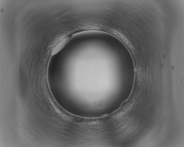 X0000080710433200612151138