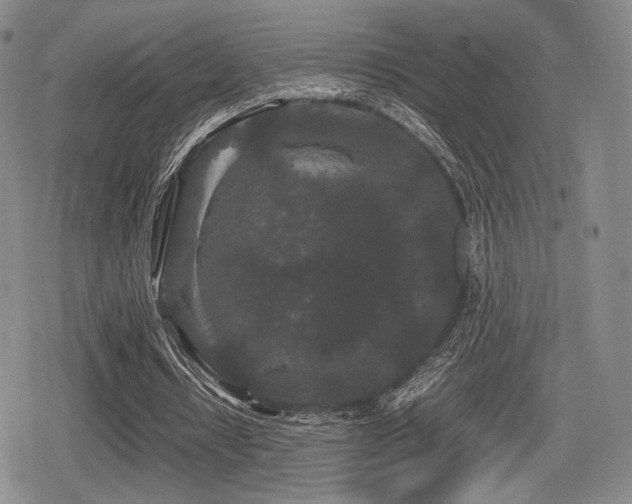 X0000080710434200612151138