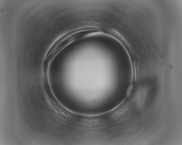 X0000080710435200612151138