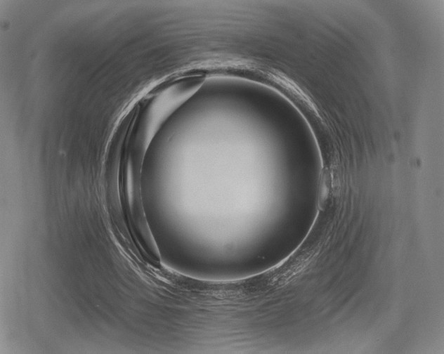 X0000080710436200612151138