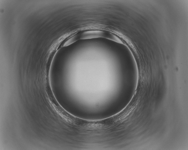 X0000080710437200612151138