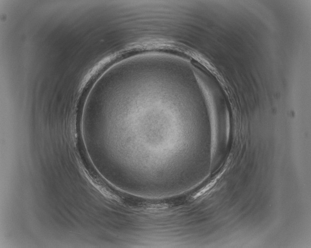 X0000080710438200612151138