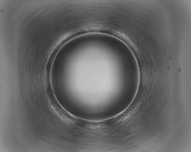 X0000080710439200612151138