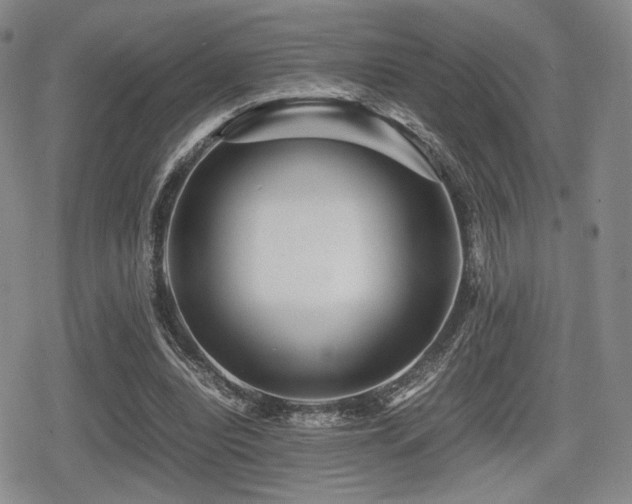 X0000080710440200612151138