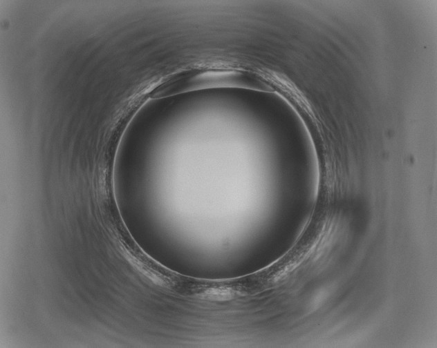 X0000080710441200612151138