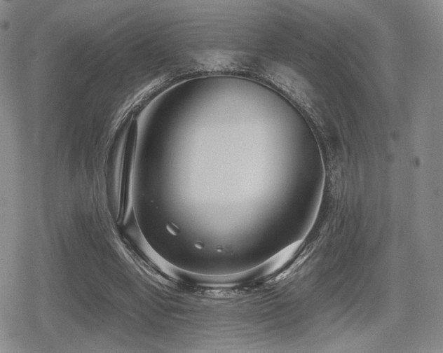 X0000080710442200612151138