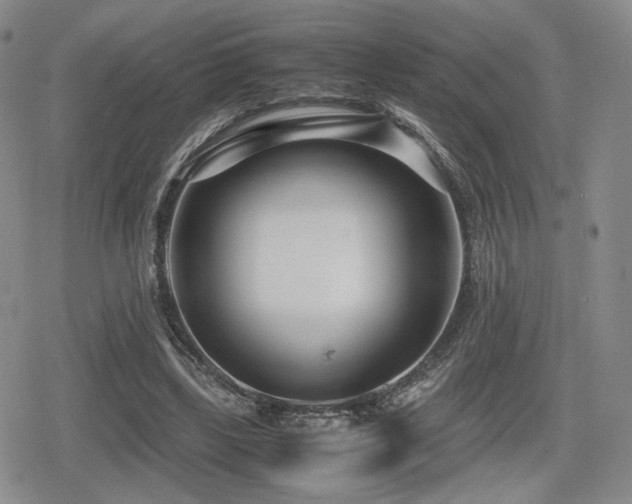 X0000080710443200612151138