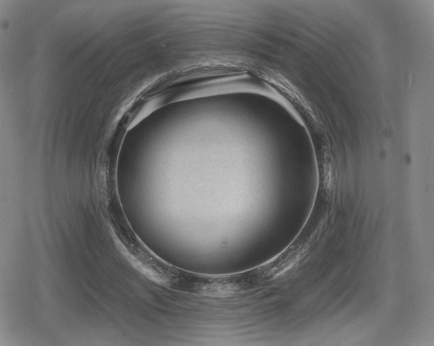 X0000080710444200612151138