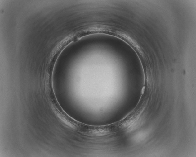 X0000080710445200612151138