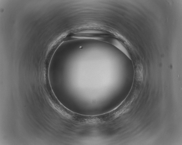 X0000080710446200612151138