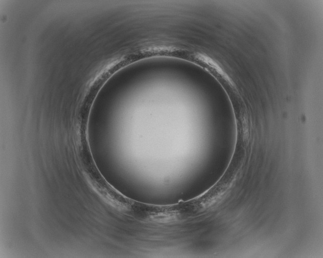 X0000080710447200612151138