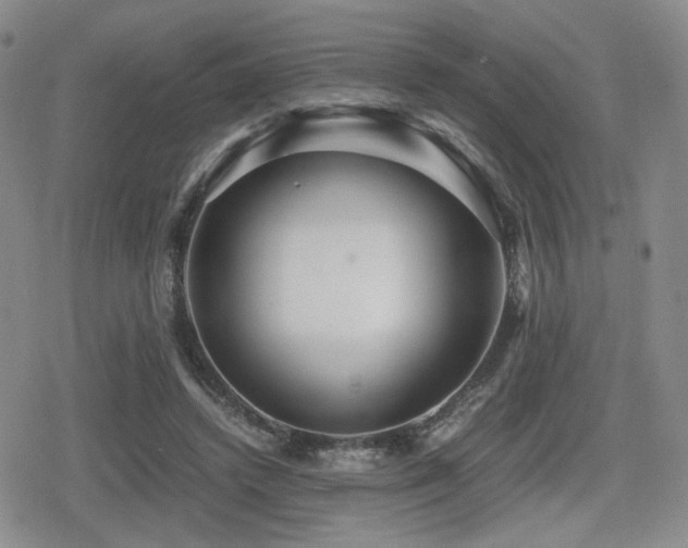 X0000080710448200612151138