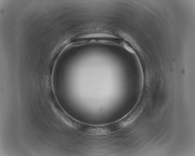 X0000080710449200612151138