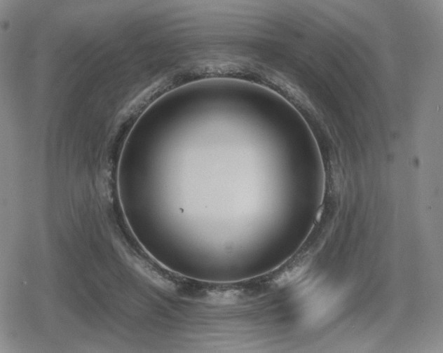 X0000080710450200612151138