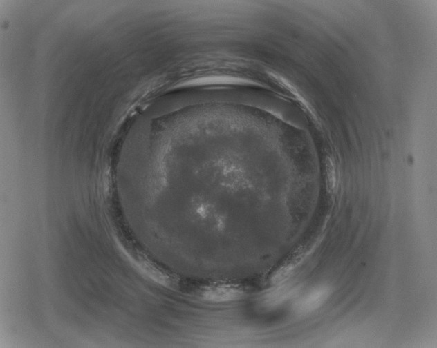 X0000080710451200612151138