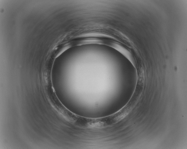 X0000080710452200612151138