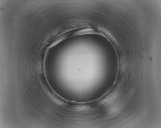 X0000080710453200612151138