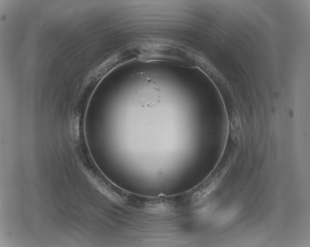 X0000080710454200612151138