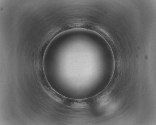 X0000080710455200612151138