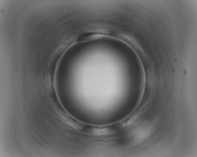 X0000080710457200612151138