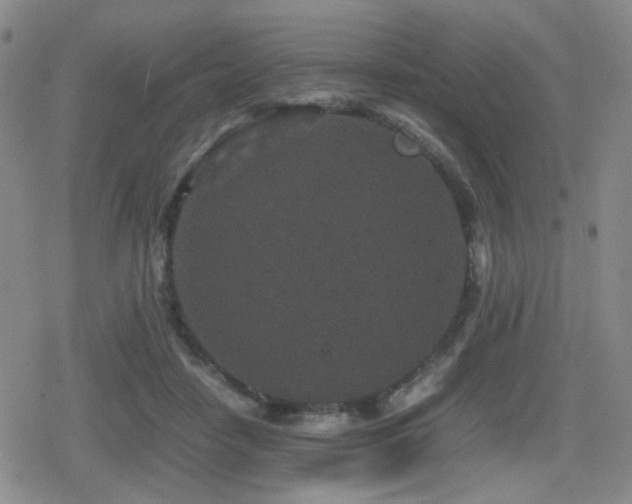 X0000080710458200612151138