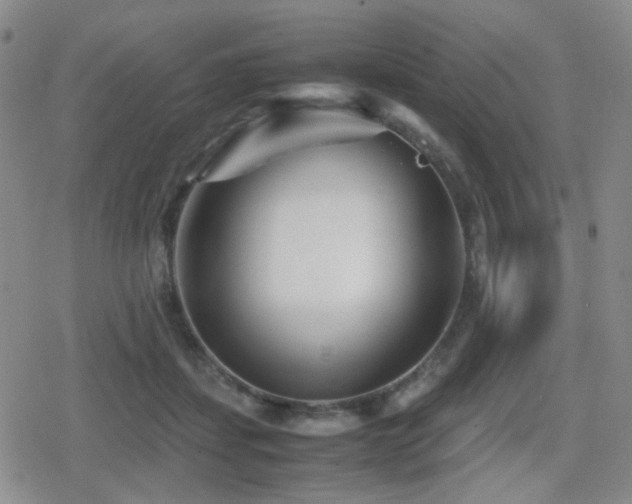 X0000080710459200612151138