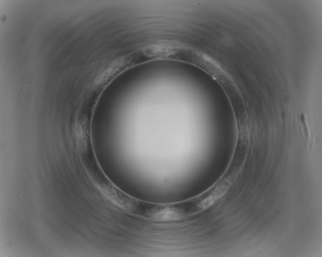 X0000080710460200612151138