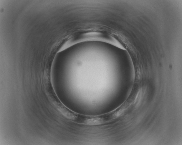 X0000080710461200612151138