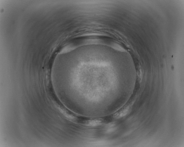 X0000080710462200612151138