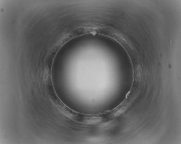 X0000080710463200612151138