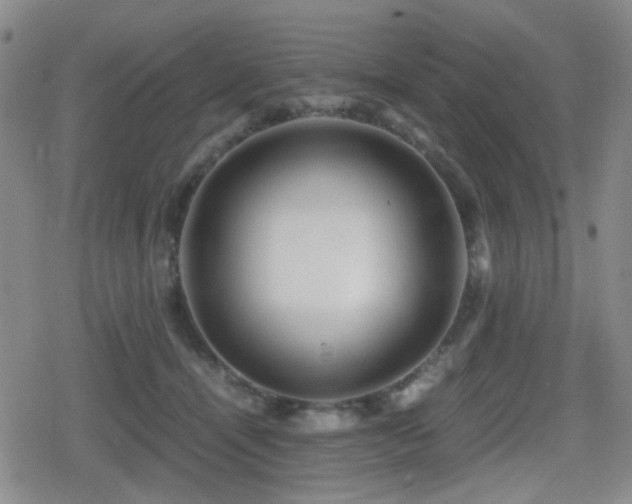 X0000080710464200612151138