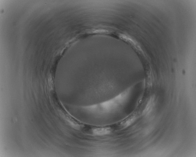 X0000080710465200612151138