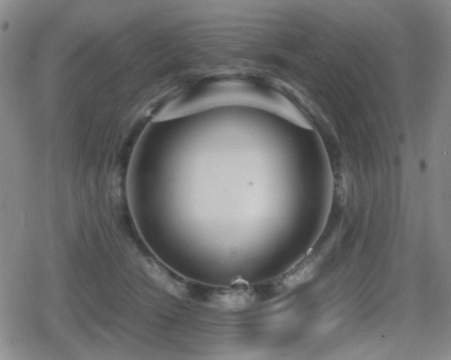 X0000080710466200612151138