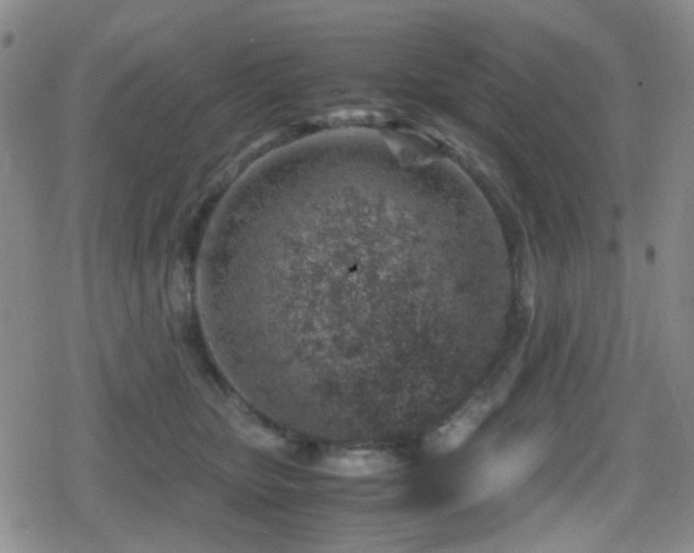 X0000080710467200612151138