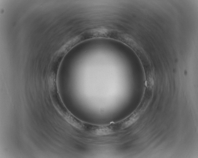 X0000080710468200612151138