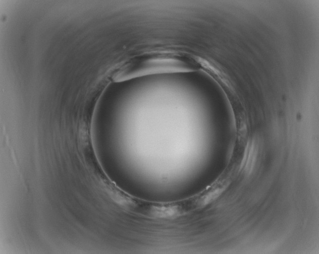 X0000080710469200612151138