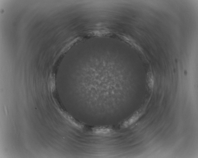 X0000080710471200612151138