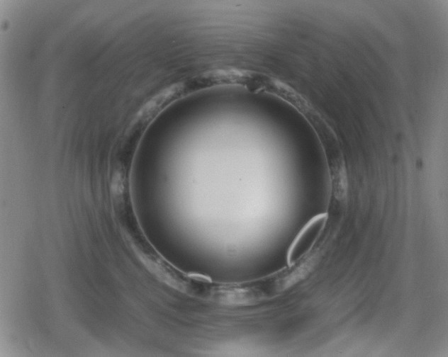 X0000080710472200612151138