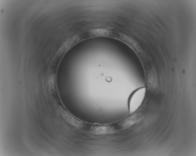 X0000080710473200612151138