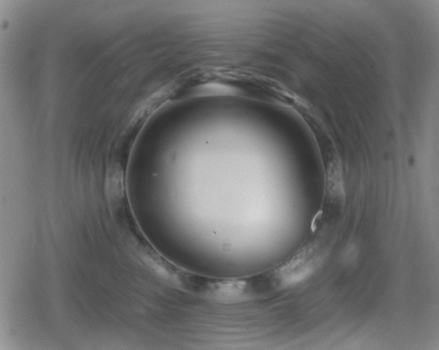 X0000080710474200612151138